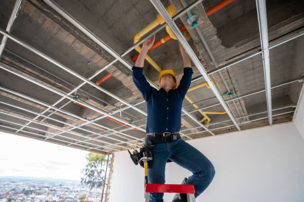 Best Drain Cleaning Services  in Willows, CA